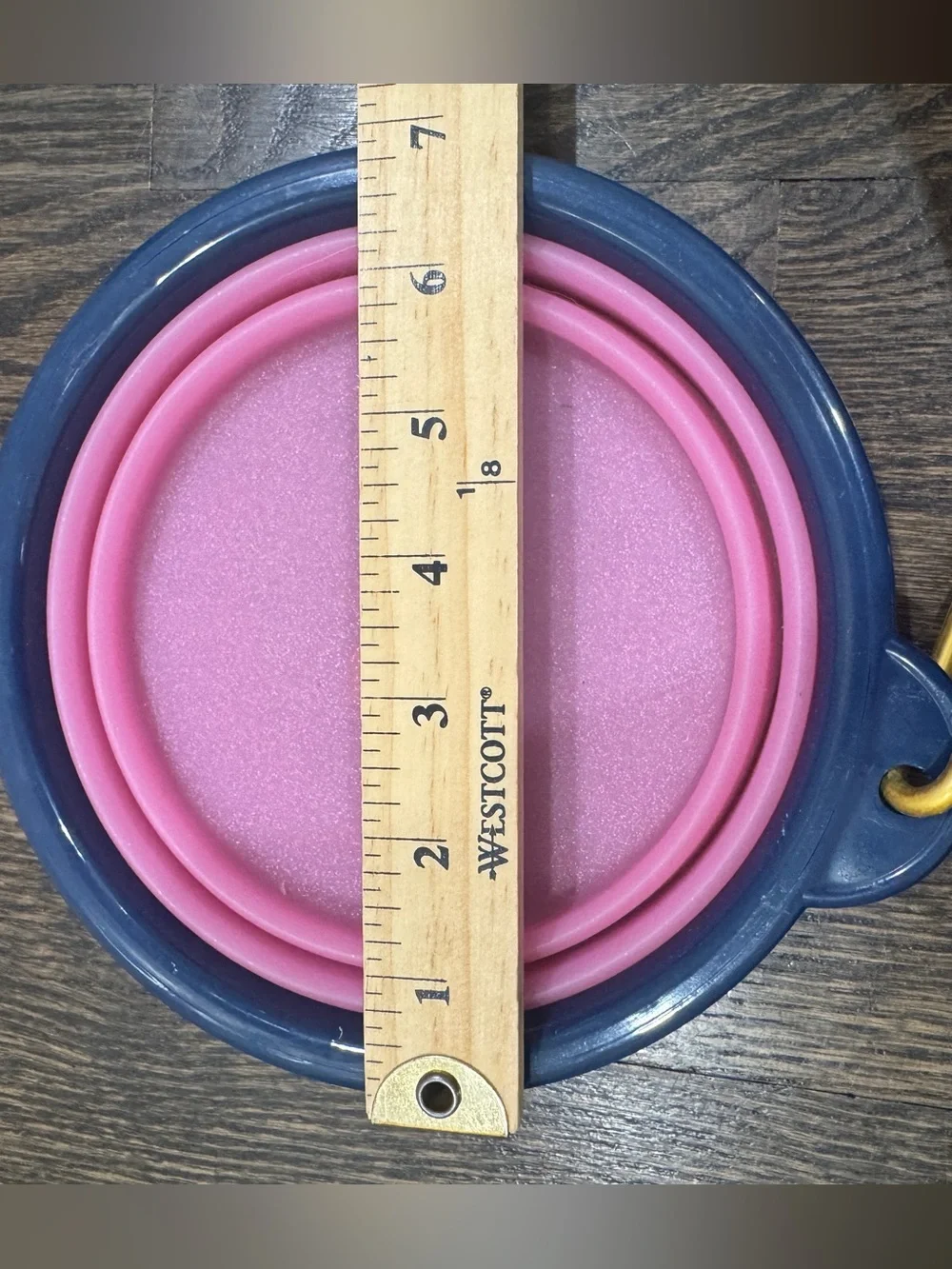 Dabney Lee Collapsible Travel Pet Bowl With Clip